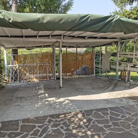 Ruggiero Pedemonte